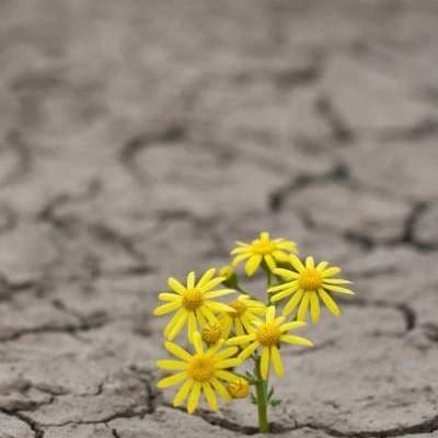  بیان امیدها و خواسته‌ها