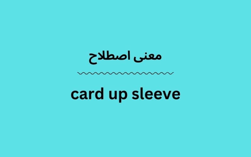 معنی card up sleeve