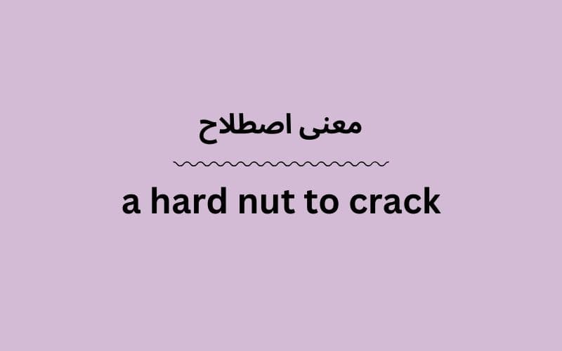 معنی a hard nut to crack