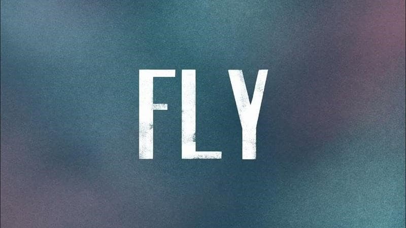 گذشته fly چه می‌شود؟
