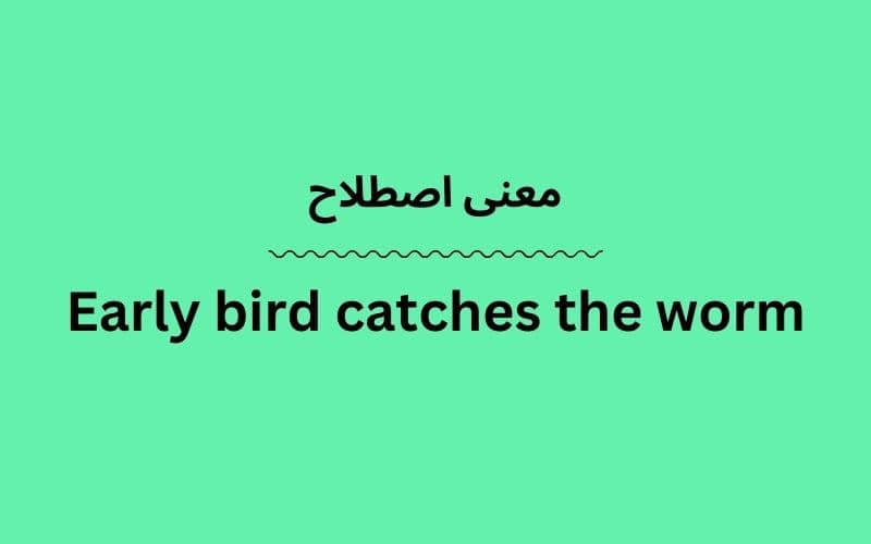 معنی Early bird catches the worm