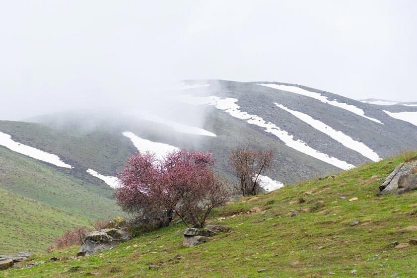 نقده سلطان یعقوب