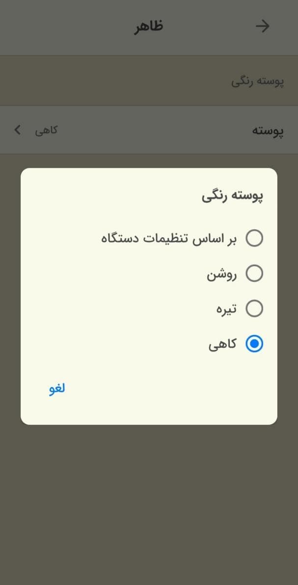 تصویری از بخش رنگ پوسته اپلیکیشن زبان‌شناس