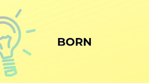 گذشته born چه می‌شود؟