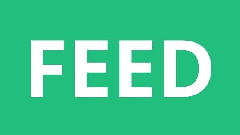 گذشته feed چه می‌شود؟