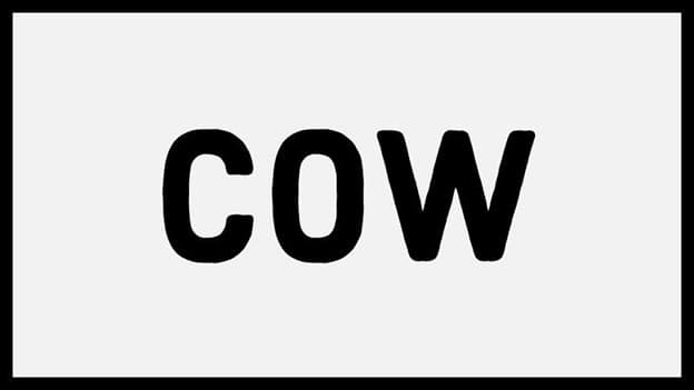 جمع cow چه می‌شود؟