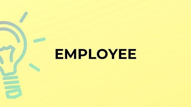 جمع employee چه می‌شود؟