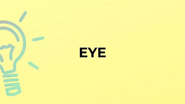 جمع eye چه می‌شود؟