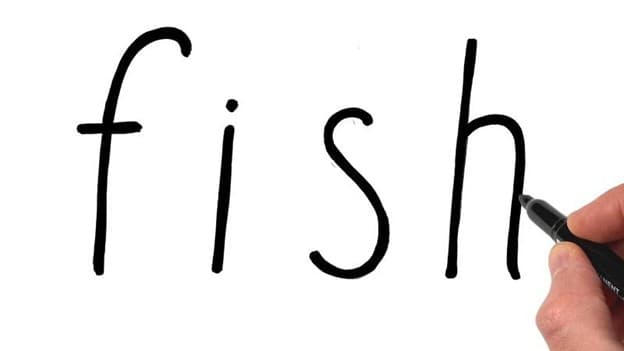 جمع fish چه می‌شود؟