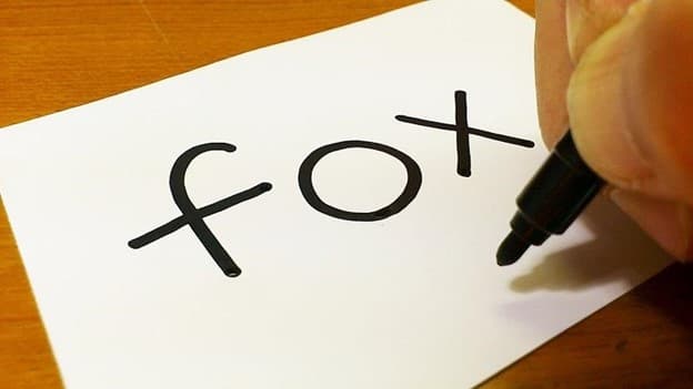 جمع fox چه می‌شود؟