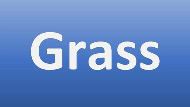 جمع grass چه می‌شود؟