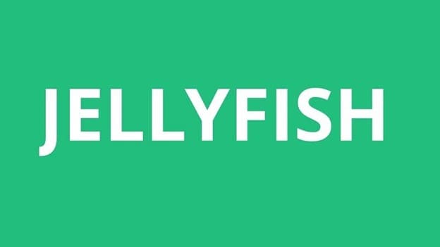 جمع jellyfish چه می‌شود؟