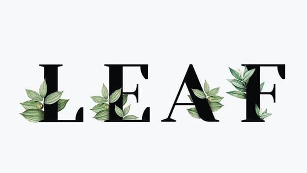 جمع leaf چه می‌شود؟