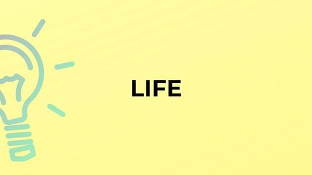 جمع life چه می‌شود؟