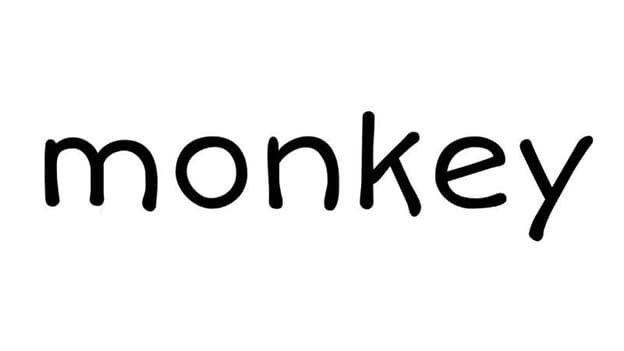 جمع monkey چه می‌شود؟