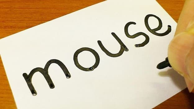 جمع mouse چه می‌شود؟