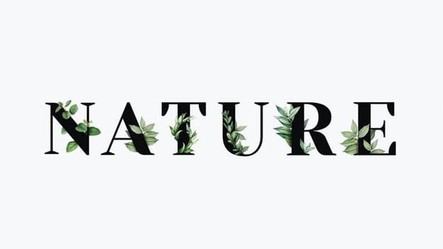 جمع nature چه می‌شود؟