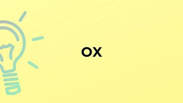 جمع ox چه می‌شود؟