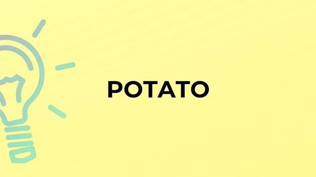 جمع potato چه می‌شود؟