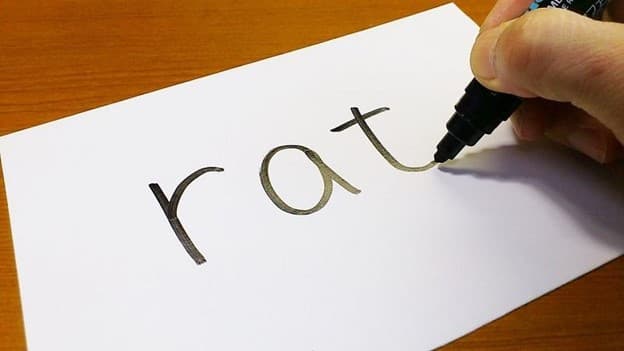 جمع rat چه می‌شود؟