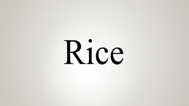 جمع rice چه می‌شود؟