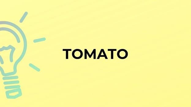  جمع tomato چه می‌شود؟
