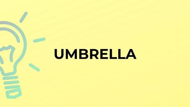 جمع umbrella چه می‌شود؟