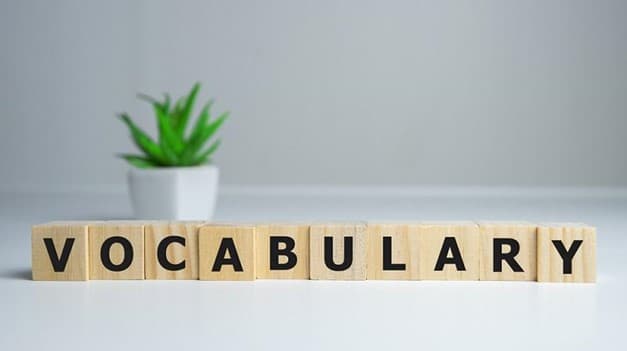 جمع vocabulary چه می‌شود؟