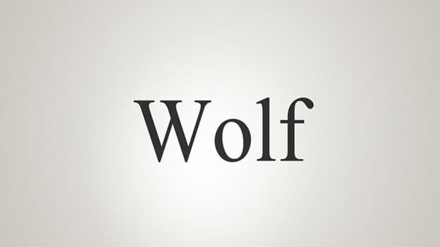 جمع wolf چه می‌شود؟
