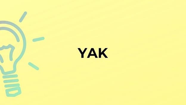 جمع yak چه می‌شود؟