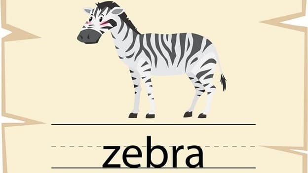 جمع zebra چه می‌شود؟