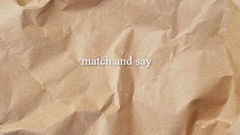 معنی جمله match and say چیست؟.jpg