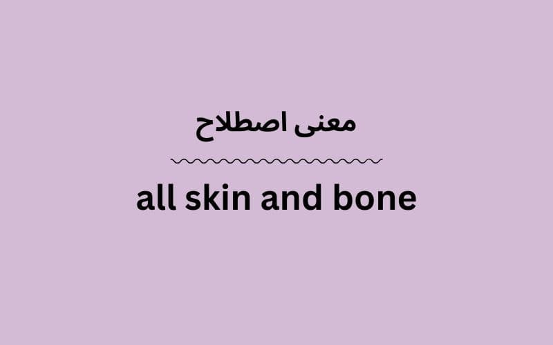 معنی all skin and bone