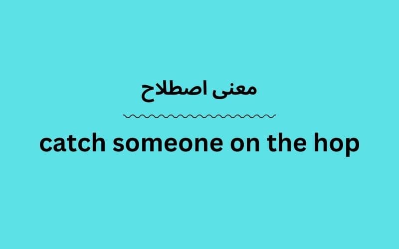 معنی catch someone on the hop چیست؟