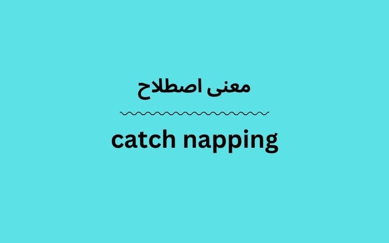 معنی catch napping