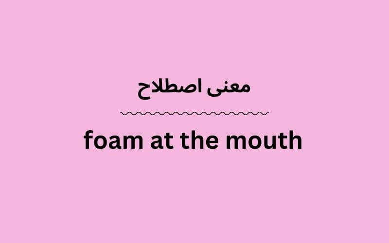 معنی foam at the mouth