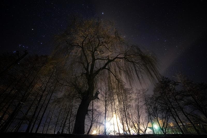 ۵ داستان کوتاه به انگلیسی درباره پارک.jpg