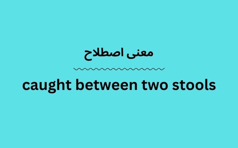 معنی caught between two stools