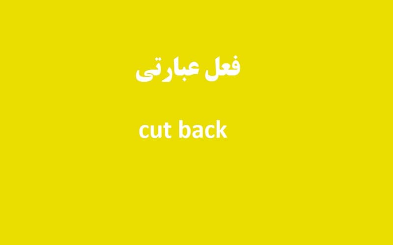 cut back.jpg