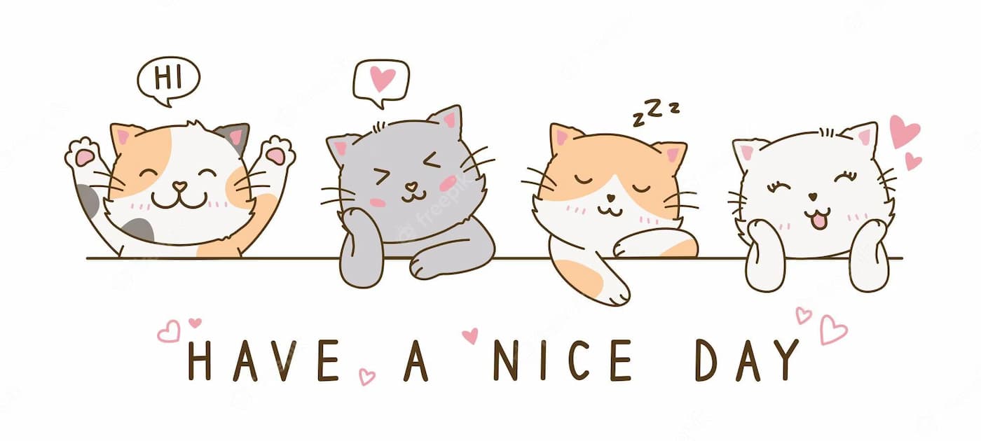 جواب دادن به have a nice day.jpg