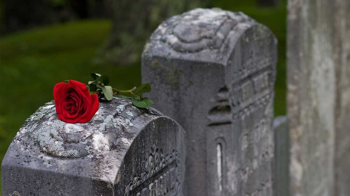جواب دادن به rest in peace.jpg