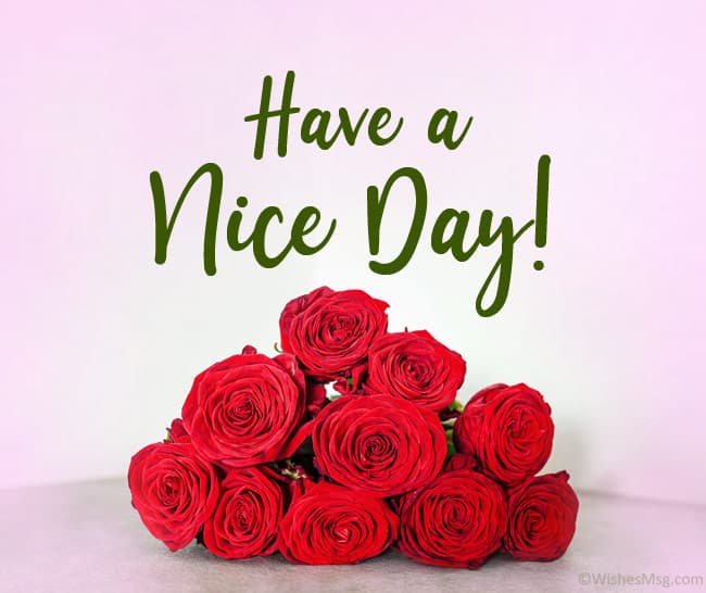 جواب have a nice day.jpg