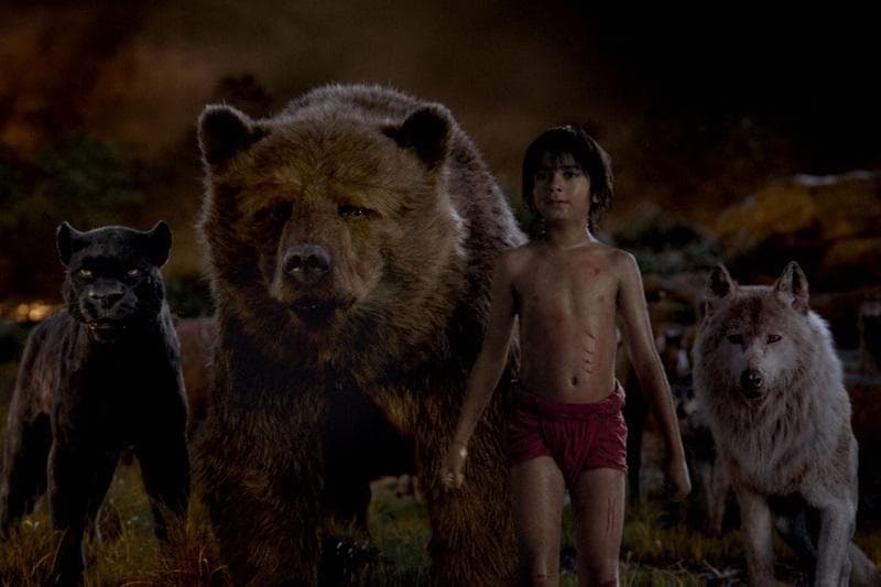 خلاصه داستان The Jungle Book.jpg