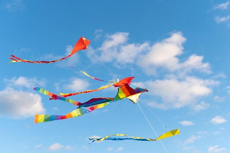 خلاصه داستان انگلیسی «Two kites».jpg