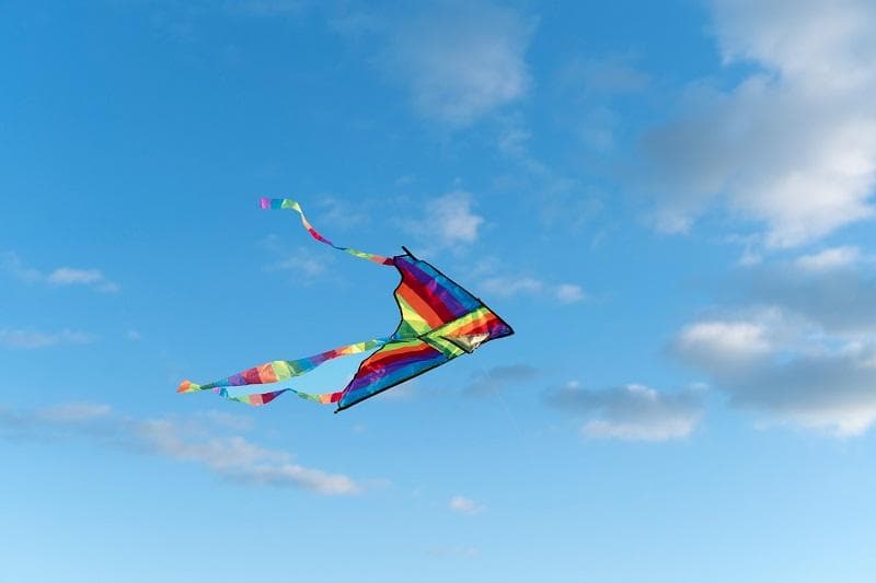 خلاصه کتاب انگلیسی «Two kites».jpg