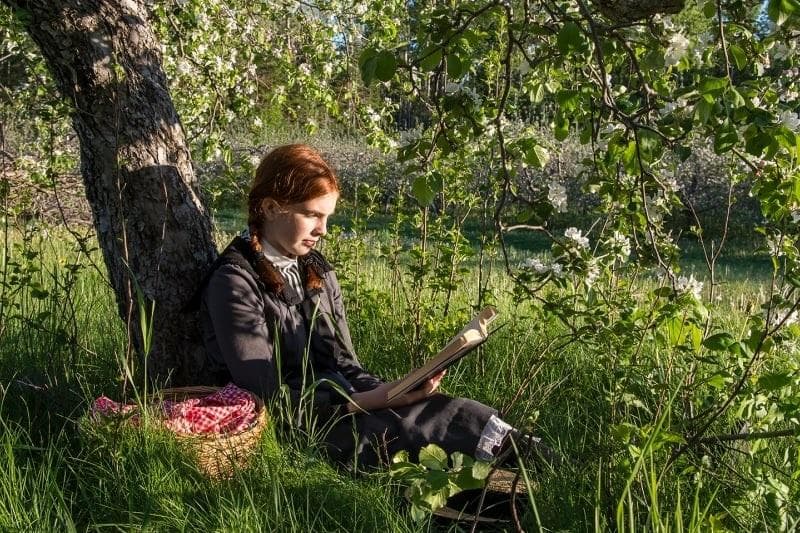 خلاصه کتاب داستان Anne of Green Gables.jpg