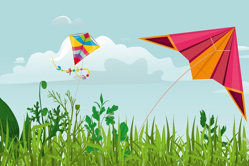 خلاصه کتاب داستان انگلیسی «Two kites».jpg