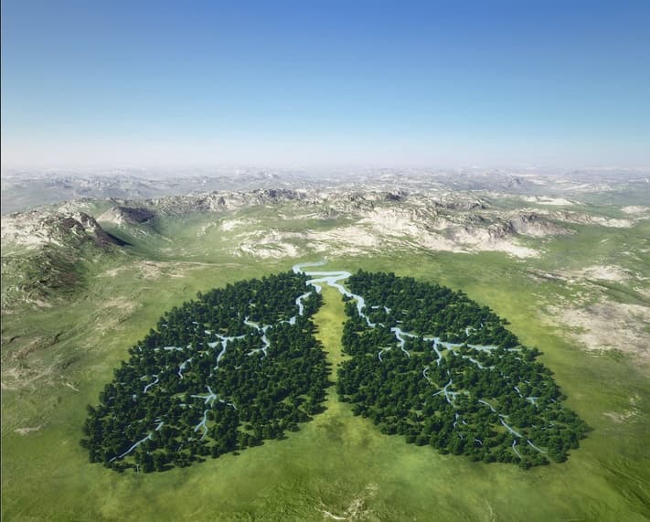 لکچر به انگلیسی درباره جنگل.jpg