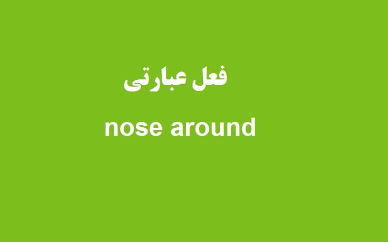 nose around.jpg