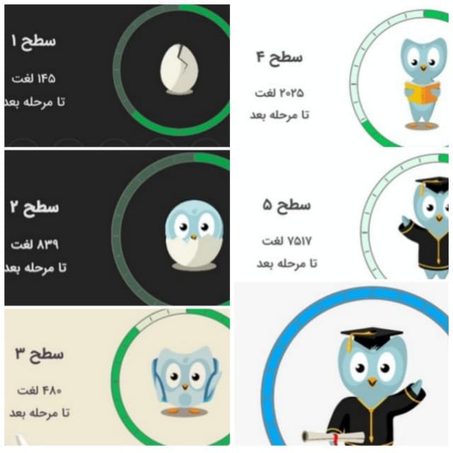تصویری از سطوح مختلف زبان‌شناس